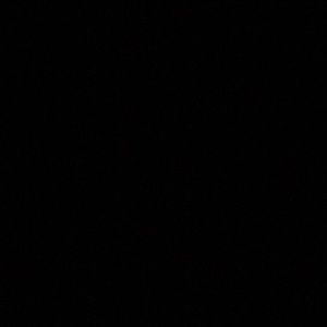 Meet your Posher, Brynley